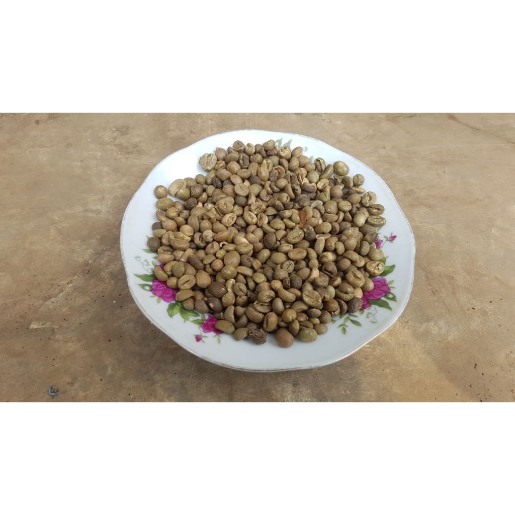 

Biji Kopi Mentah 1kg Robusta Asalan Purbalingga