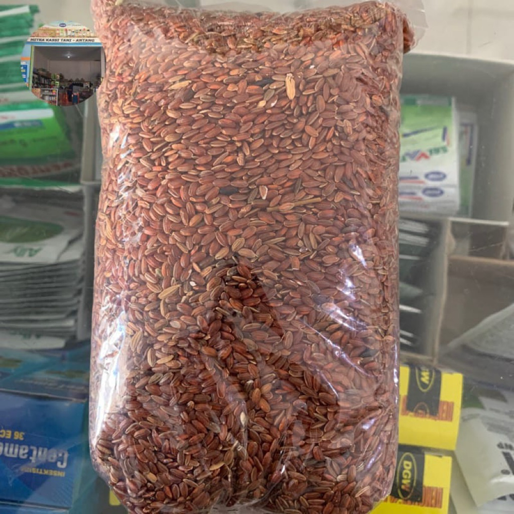 

Beras merah organik 1kg