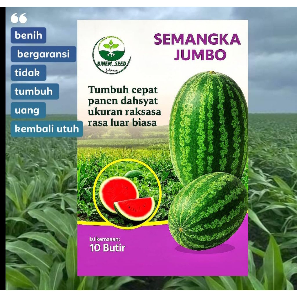 

semangka jumbo jepang