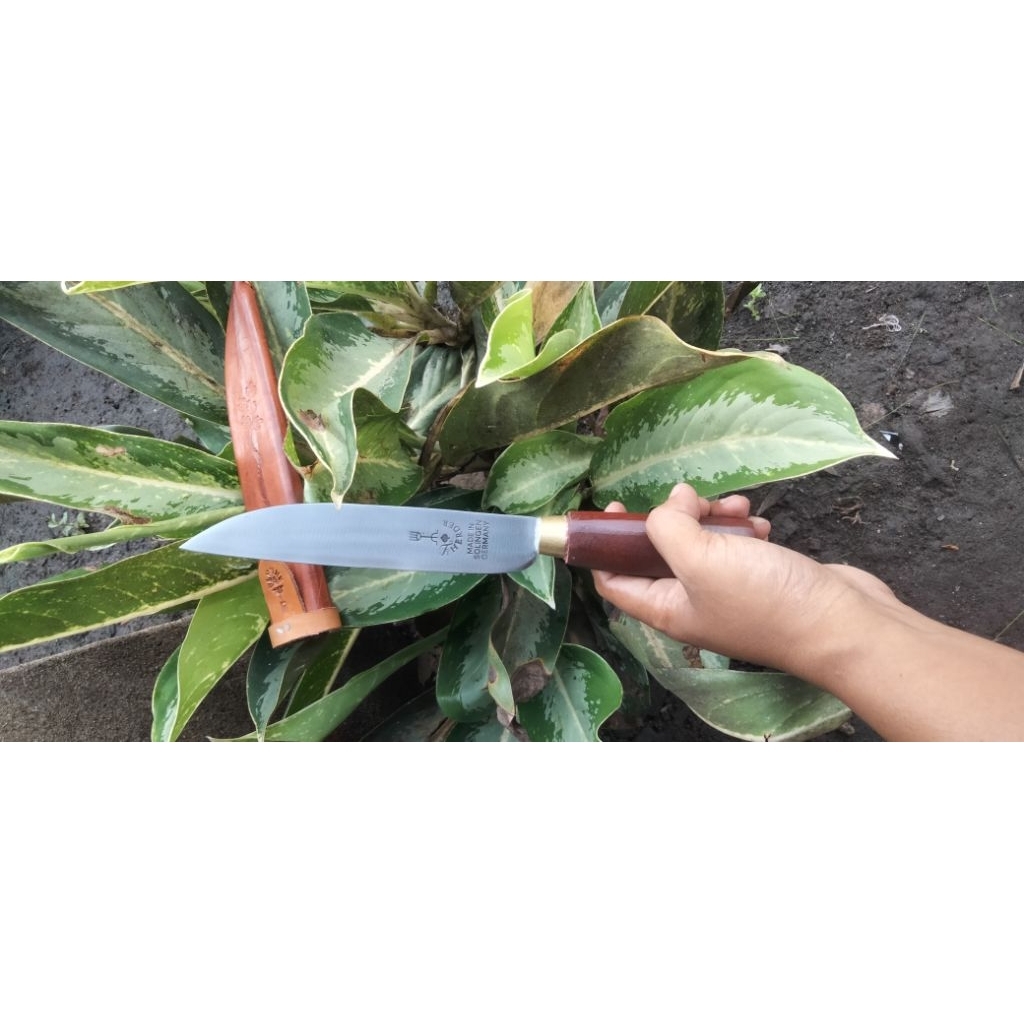 PISAU HERDER SOLINGEN MADE IN GERMANY TOP A1(COCOK MANIS)
