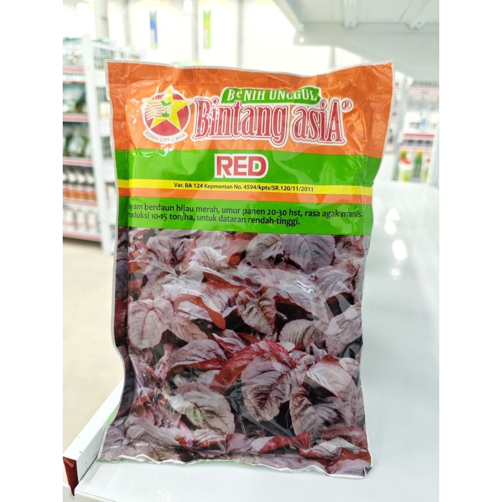 benih bayam merah red bintang asia 500 gr original