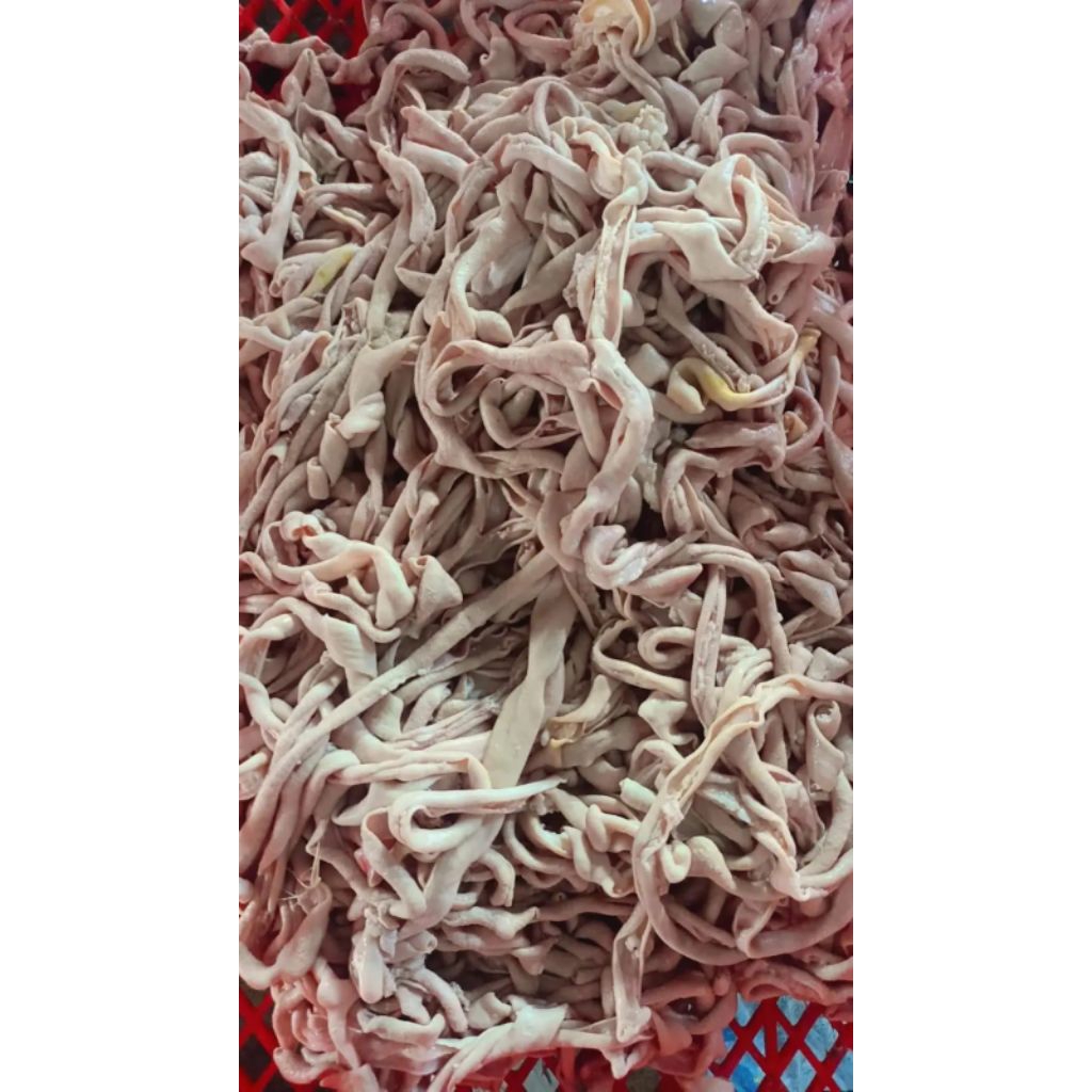 

usus bebek fresh