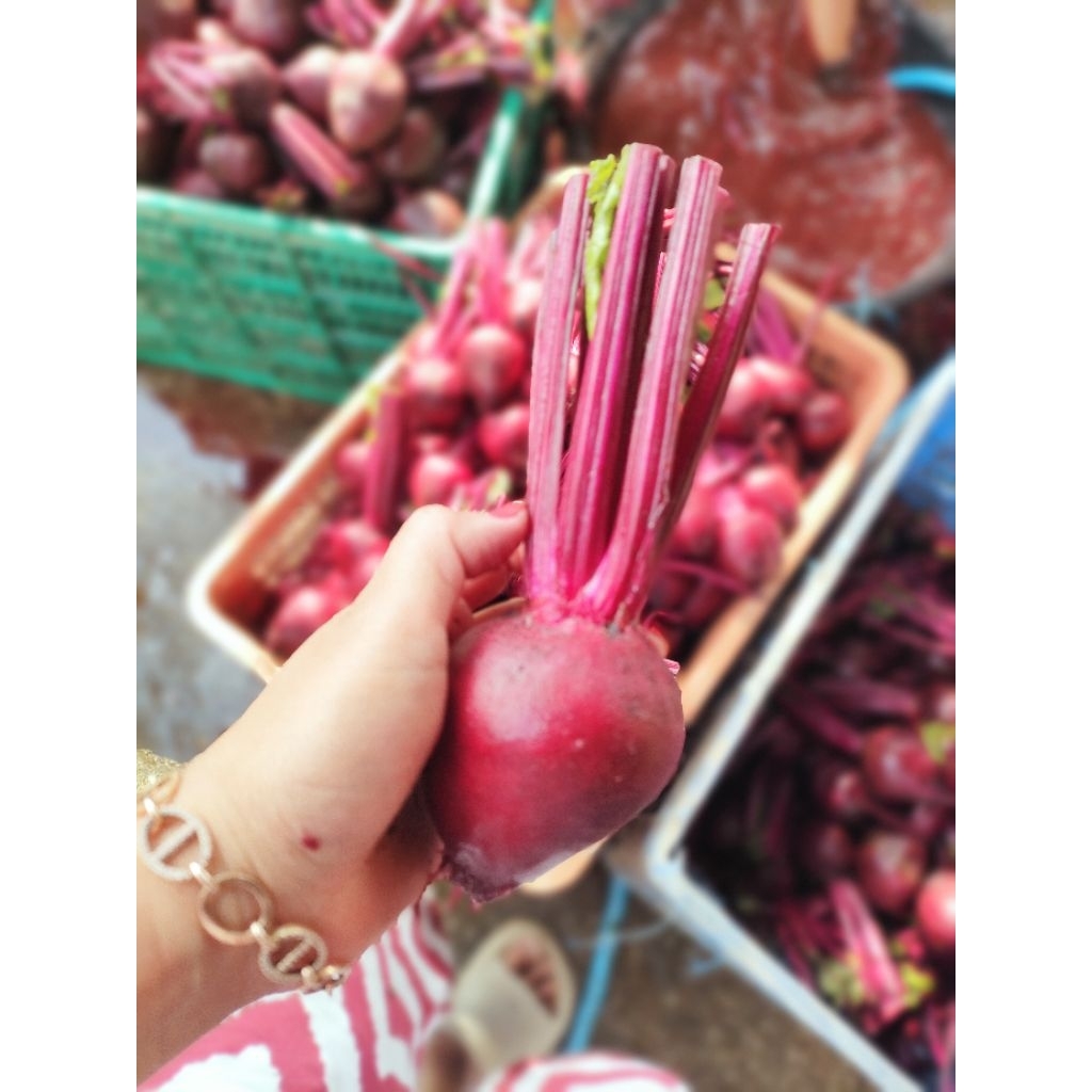 

termurah terlaris buah bit /beetroot 1kg berkualitas super, murmer 1kg