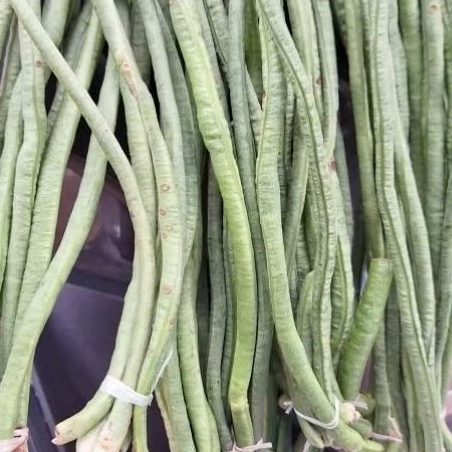 

sayur kacang panjang 1 paket