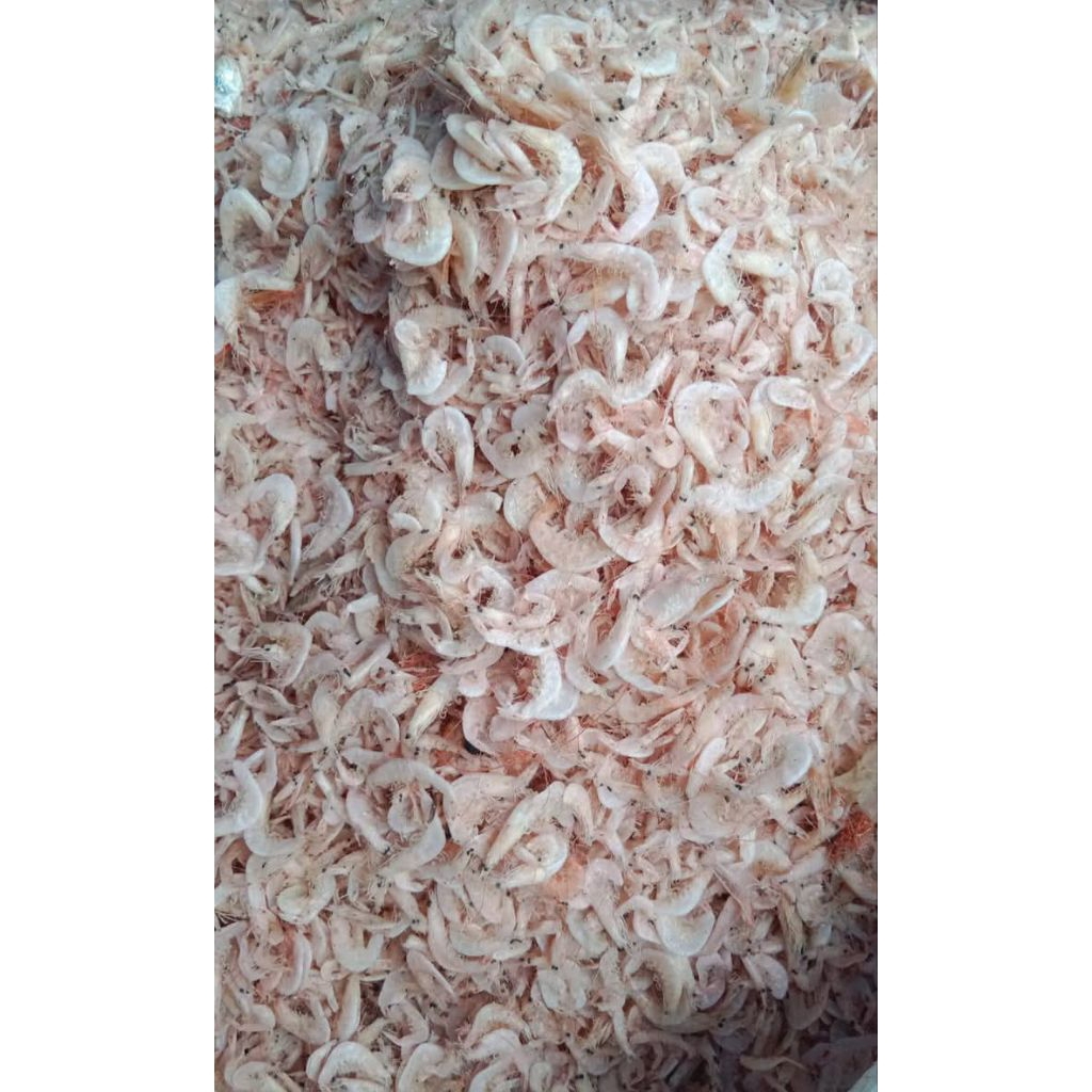 

Ikan Udang Rebon Asin 1 KG