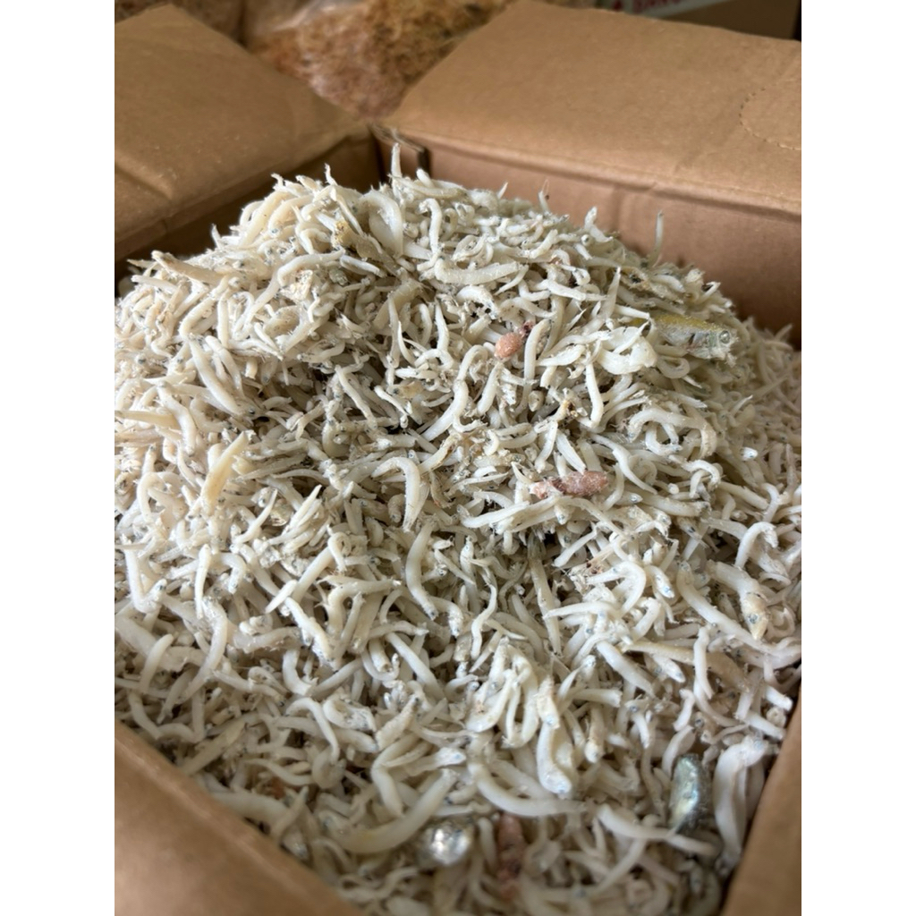 

Teri Nasi Medan Sedang VIP Rendah Garam (Rebus) 1000gr