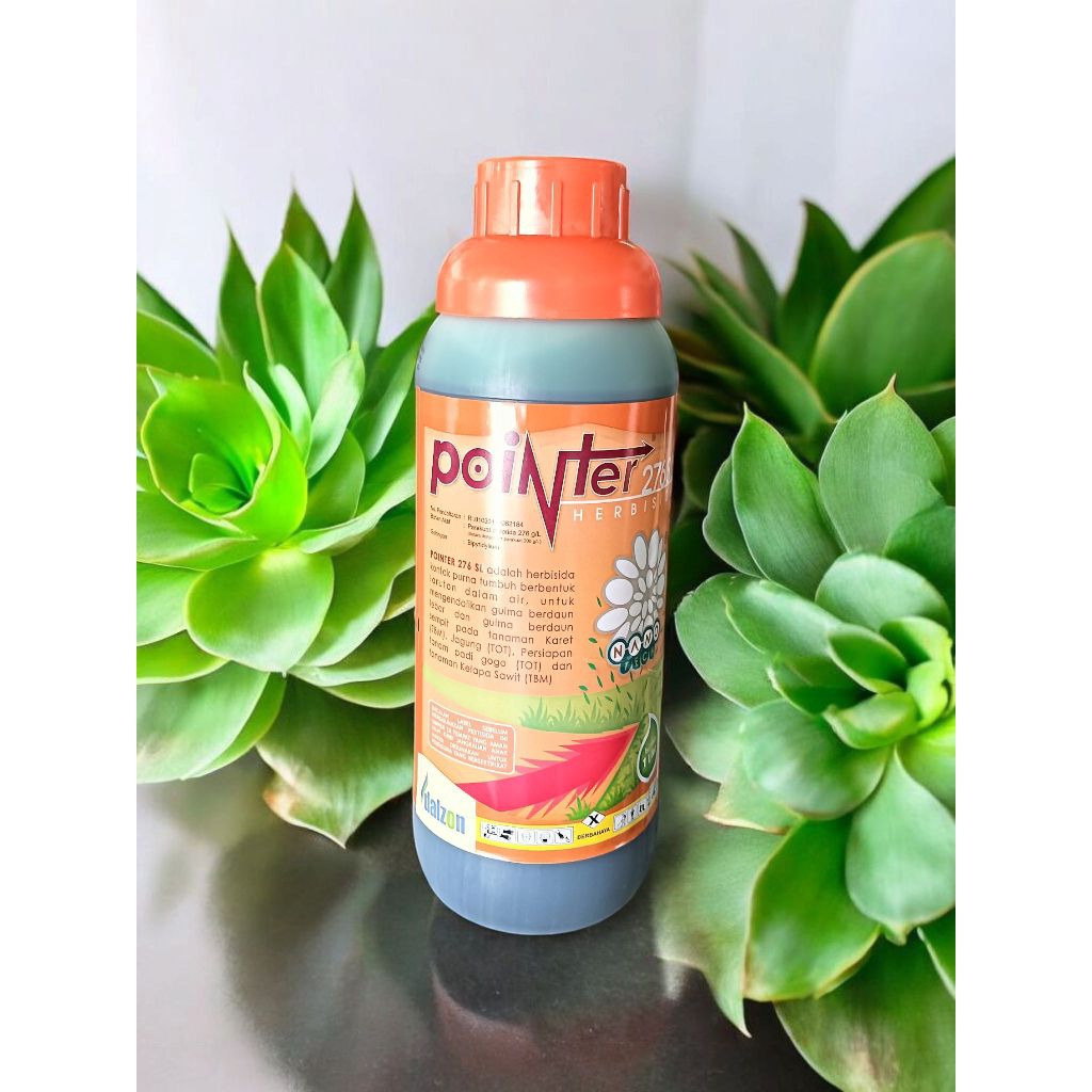 POINTER 276SL Herbisida kontak pembasmi gulma