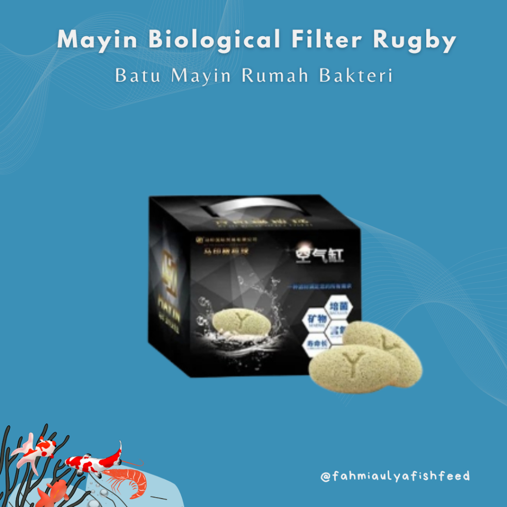 Mayin Biological Filter Media Mayin Rugby Batu Mayin Satuan Eceran Rumah Bakteri MAYIN RUGBY
