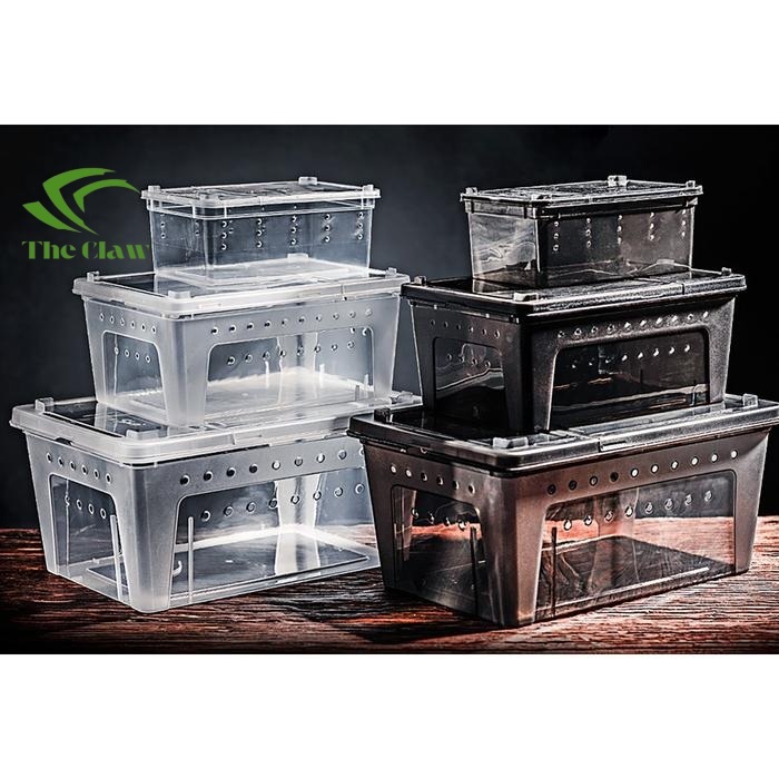 (The Claw) Reptil Box Kandang Besar Feeding Hamster/Reptil/Gecko/kura-kura