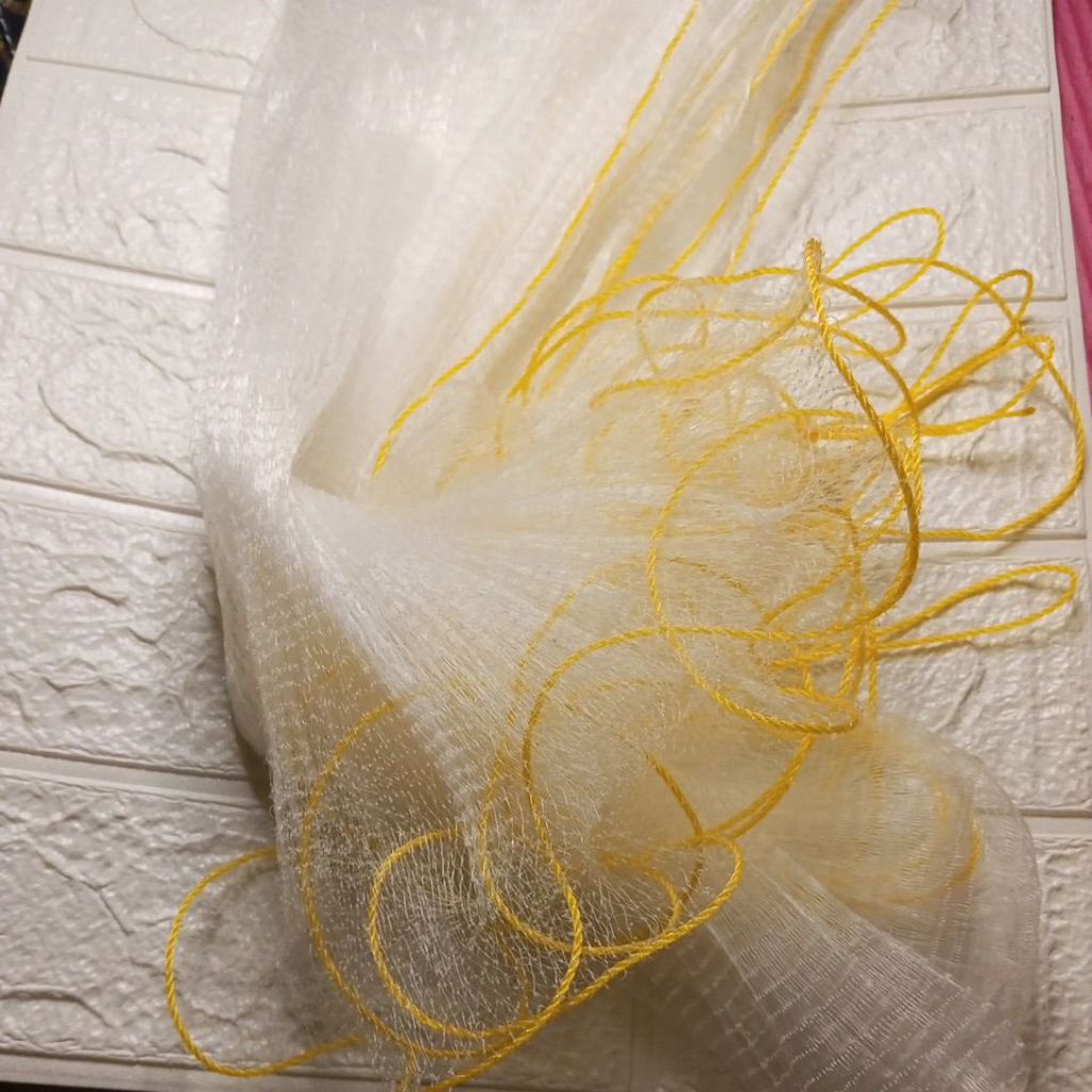 branjang ikan kecil (anco) 2x2 m