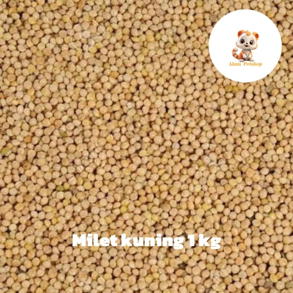 Milet Kuning Kemasan 1 kg
