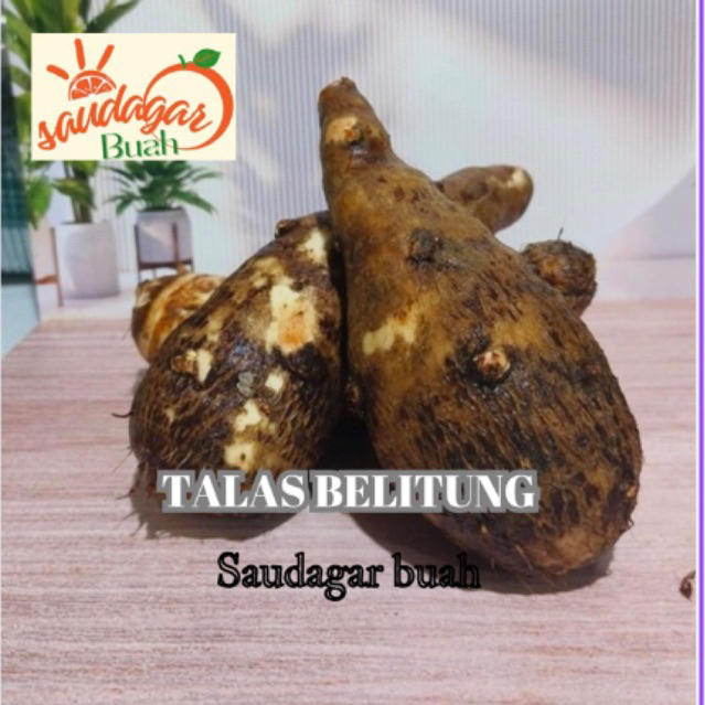 

TALAS BELITUNG FRESH TALAS MBOTE TALAS KIMPUL TALAS LEGIT