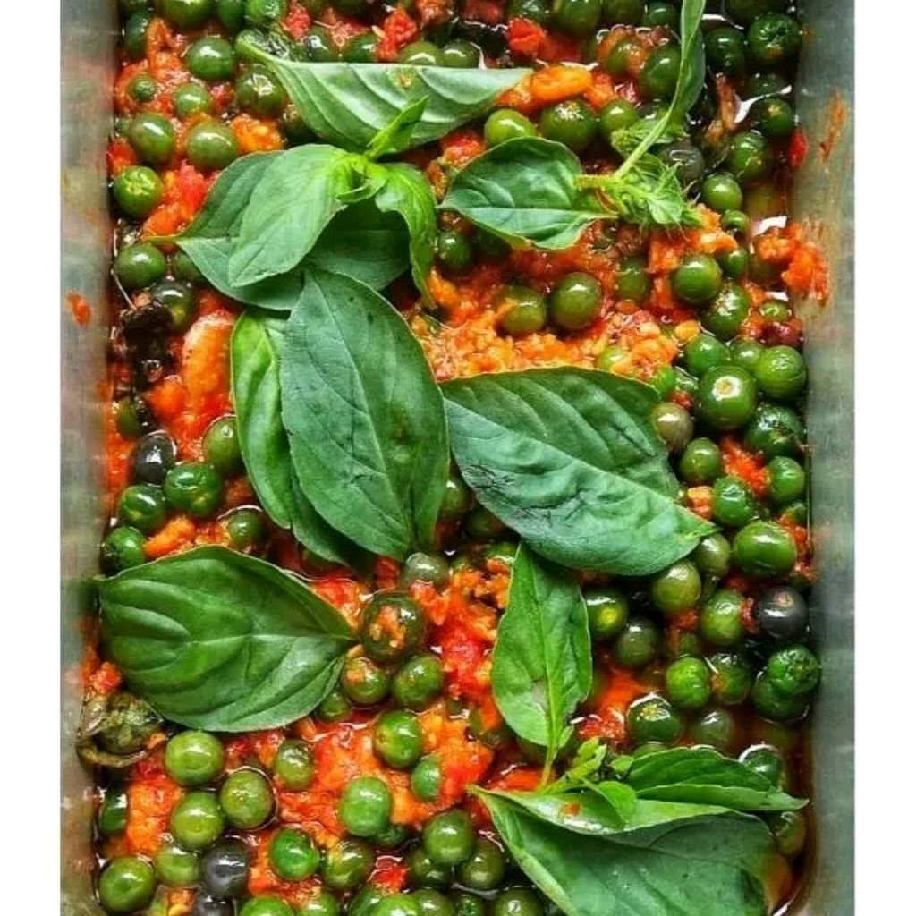 

Ulukuteuk Leunca khas Sunda