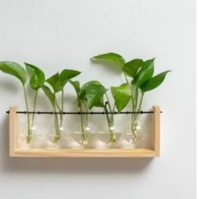 vas dinding natural 5 pot kaca eastetic dekorasi