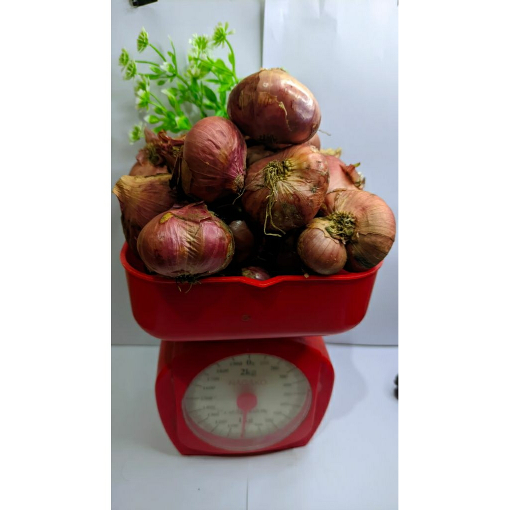 

Bawang merah garut 1kg