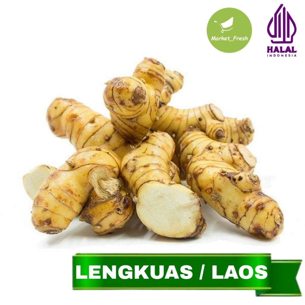 

Lengkuas Segar Bumbu Dapur Laos Lengkuas Fresh Laos Segar