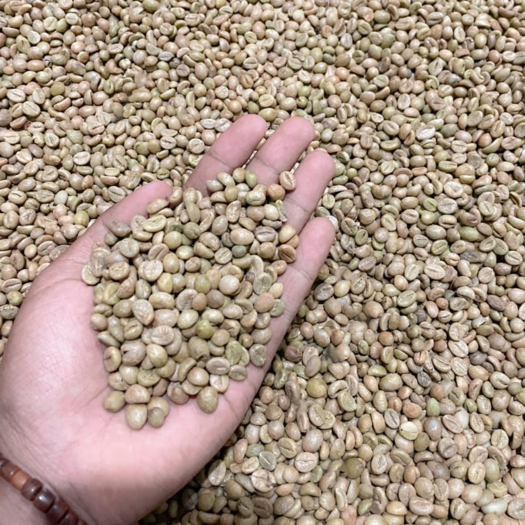 

Biji Kopi Robusta Mentah Grade 1 | Greenbean Pilihan | Kualitas Terbaik