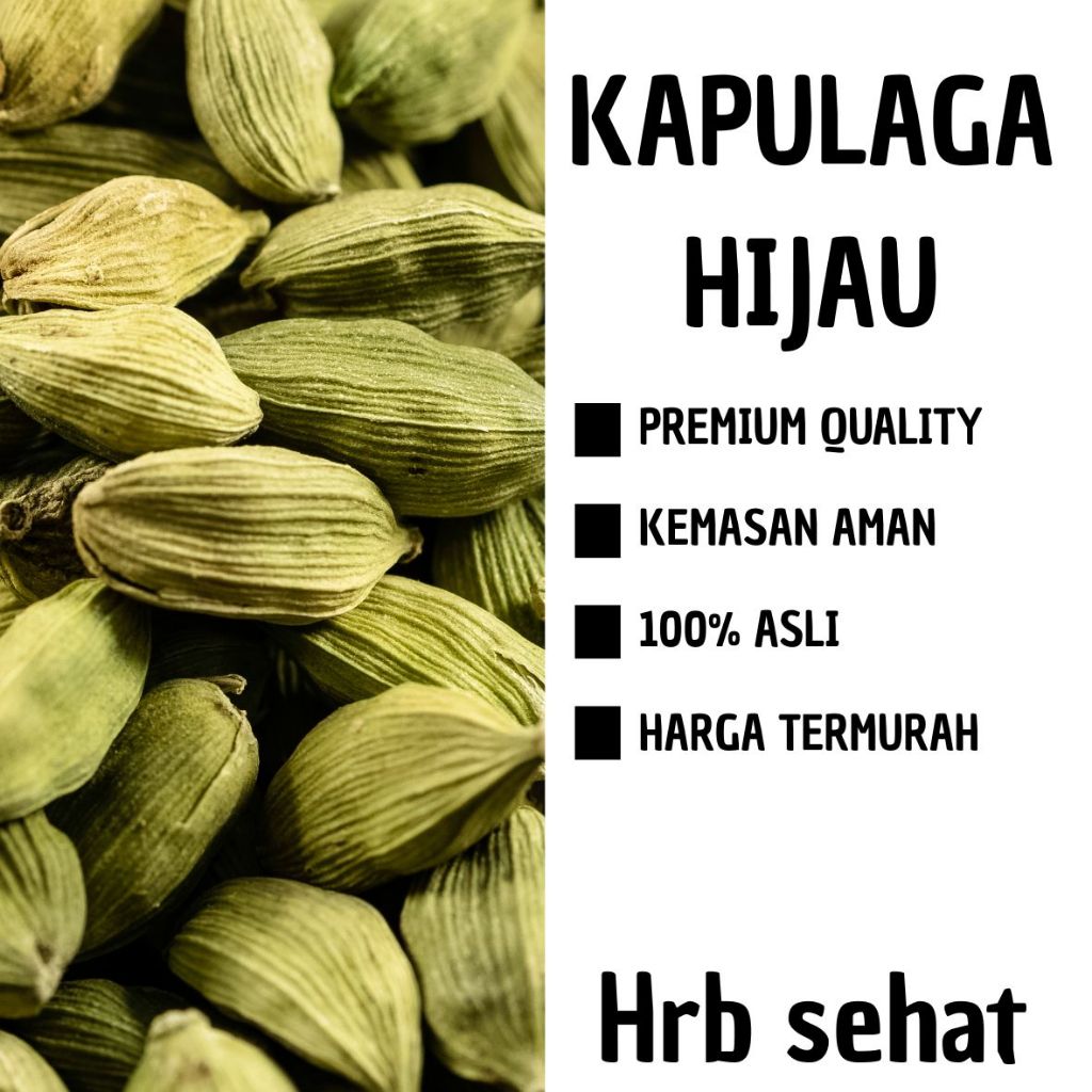 

Kapulaga Hijau 10 gr, 25 gr Kapulaga India Kapulaga Arab Green Cardamon