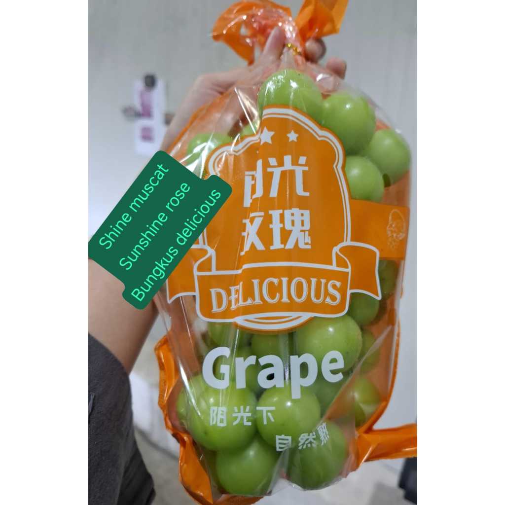 

Anggur Hijau Shine Muscat 1 Dus (4 KG) Fresh Import