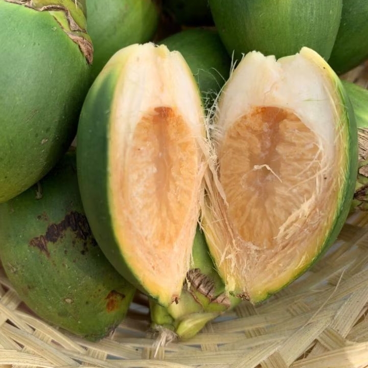 

Buah Pinang Muda 1kg isi 35± butir Segar Tanpa Kimia yang sangat banyak manfaatnya