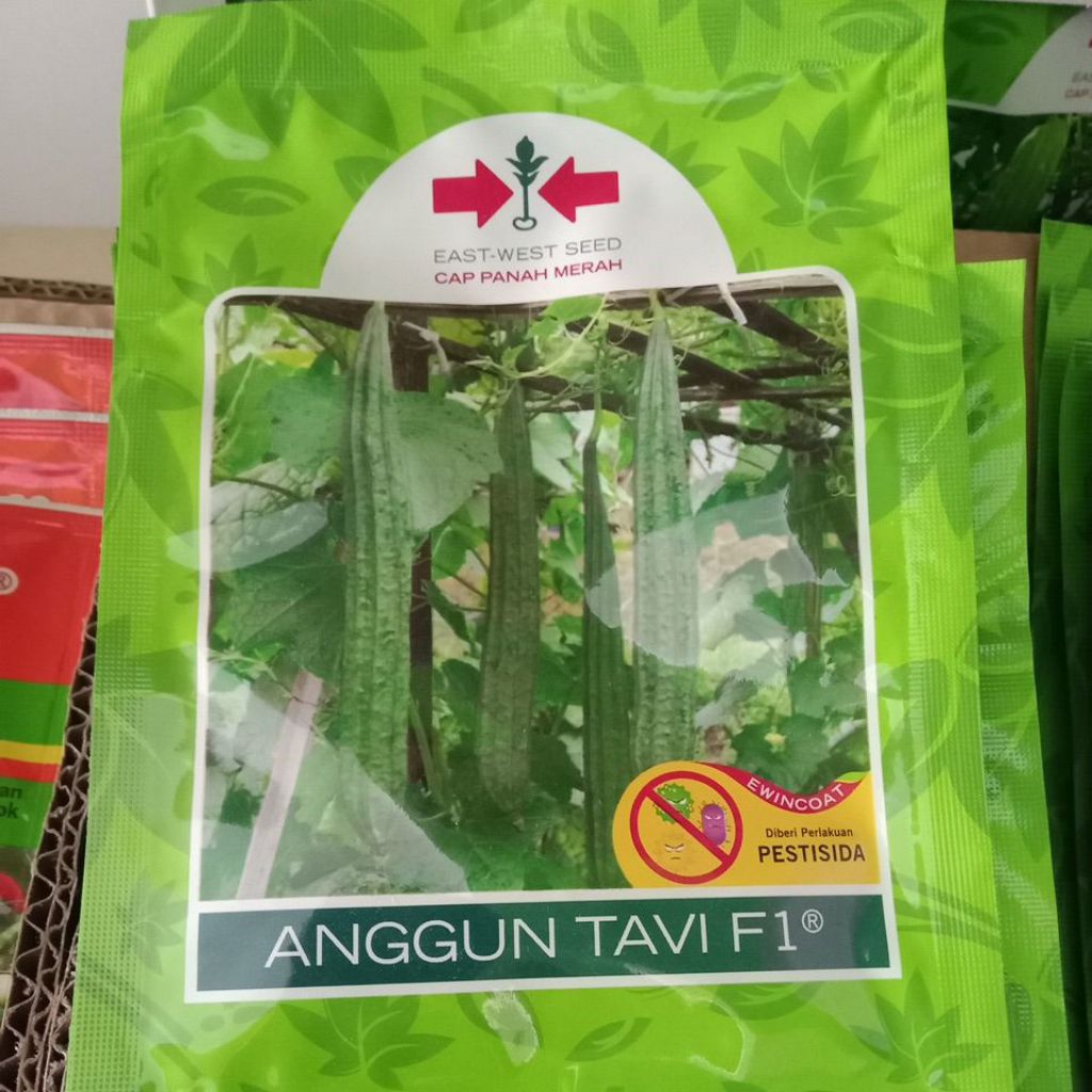 oyong/gambas anggun tavi f1