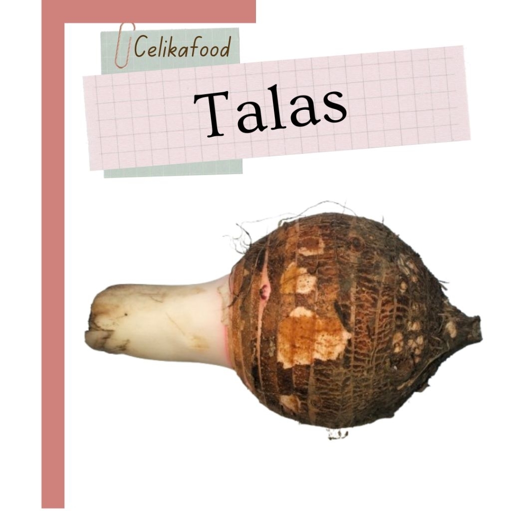 

Talas Taleus Utuh Mentah Umbi Umbian