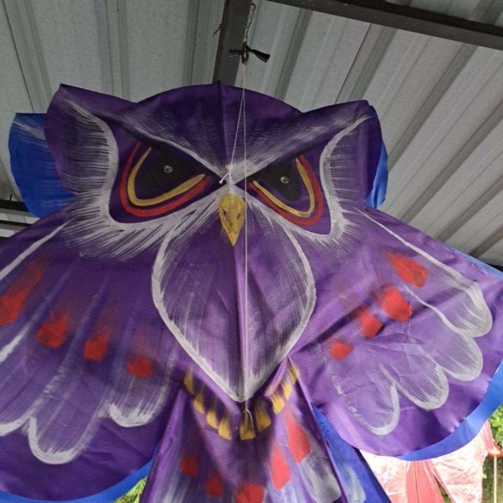 Layangan Celepuk, layangan burung hantu