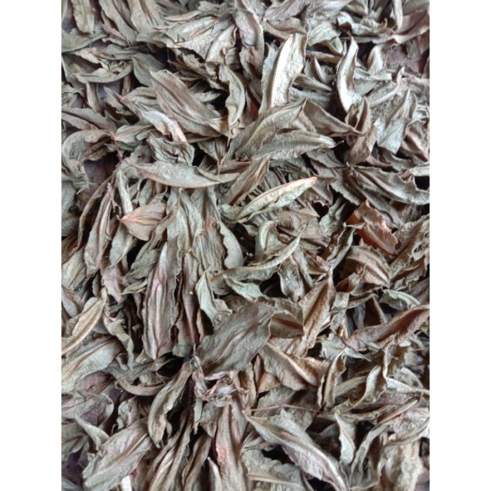 

DAUN KEDONDONG KERING (DIJEMUR DIBAWAH SINAR MATAHARI )