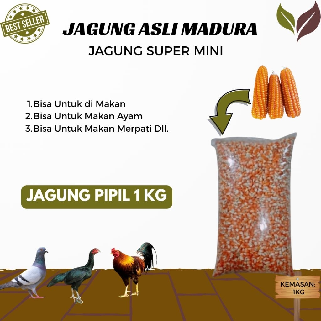 Jagung Kristal Merpati 1KG Jagung Burung Dara Jagung Burung Merpati Aayam Jagung Asli Madura