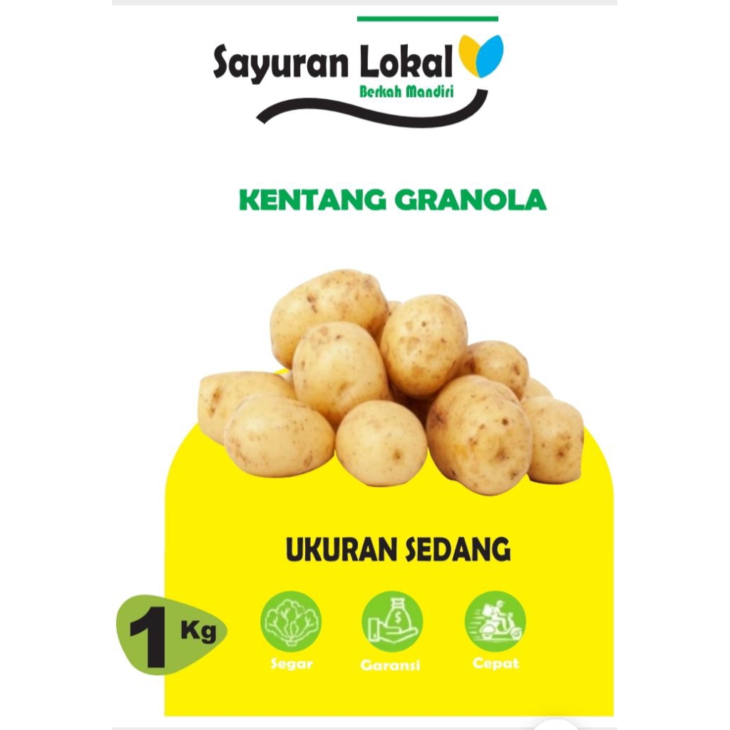 

Terlaris No.1 Kentang Segar Ukuran Sedang 1kg
