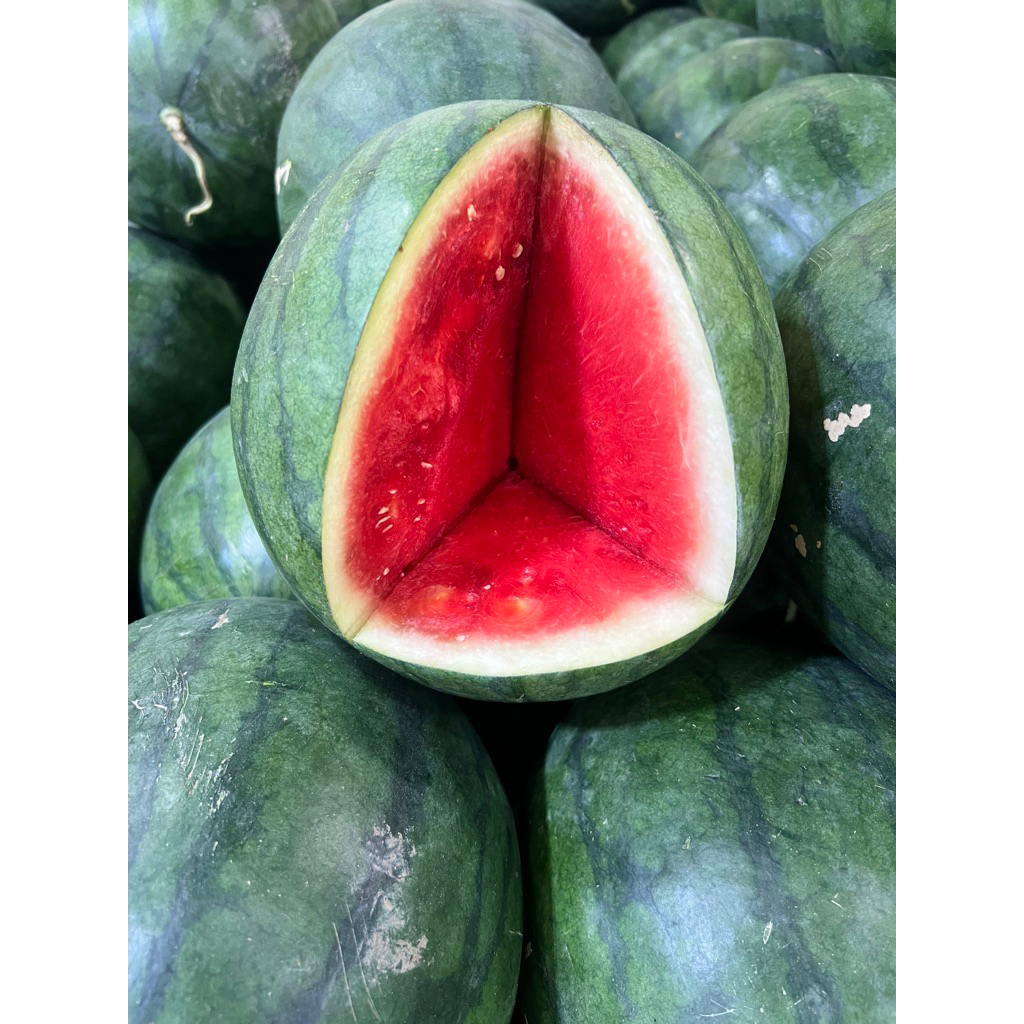 

BUAH SEMANGKA MERAH BIJIAN