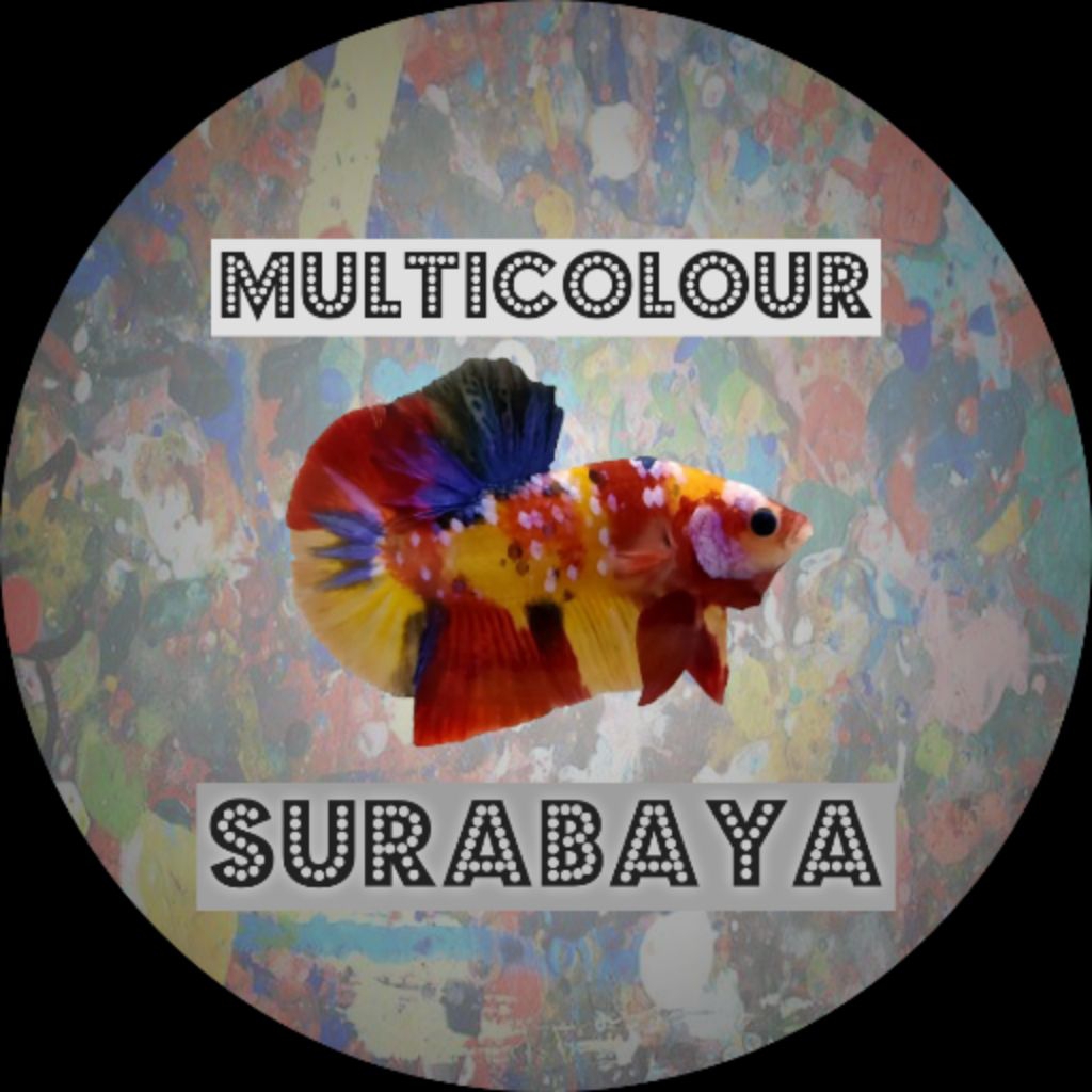 sepair Avatar cooper rintik