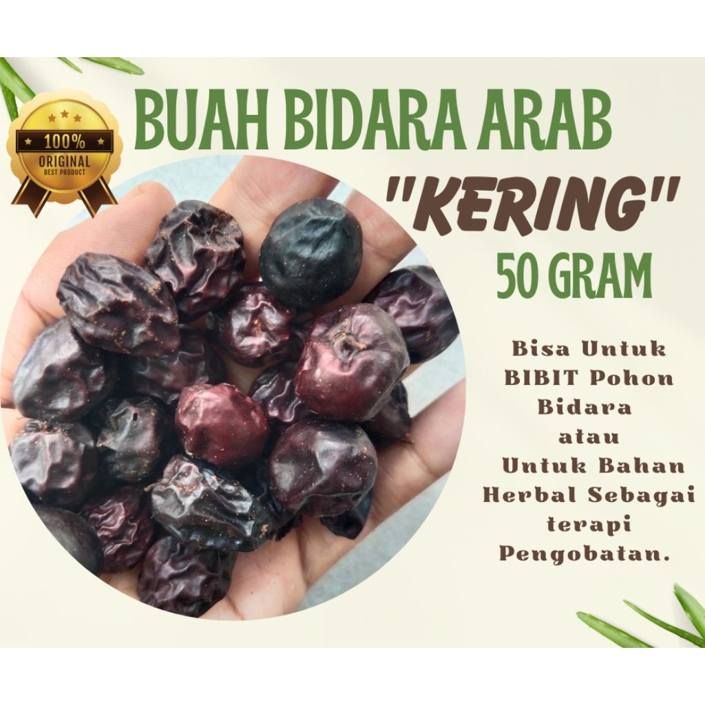 

250 gram Buah Bidara Arab Kering Asli 100% jaminan mutu.