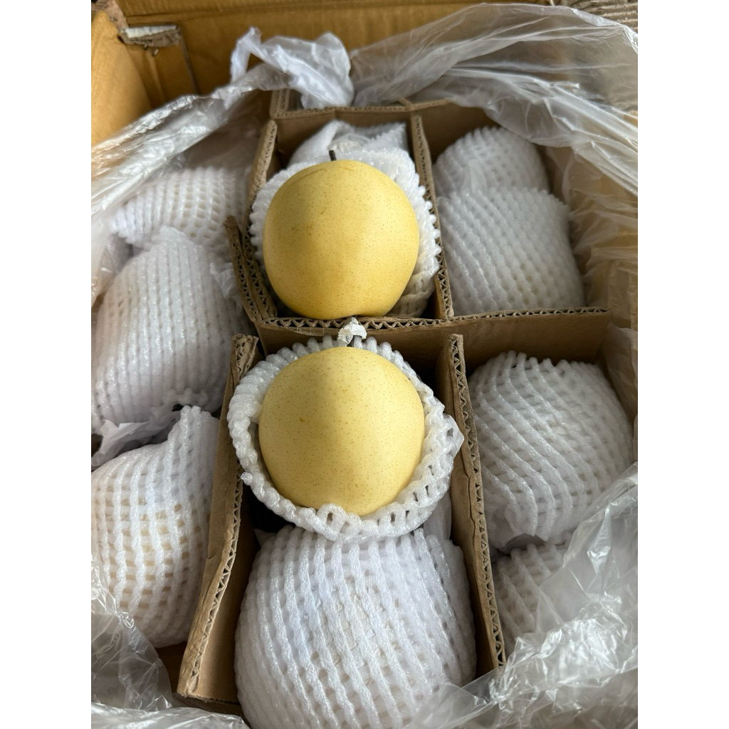 

INSTAN Pear CenturyManis