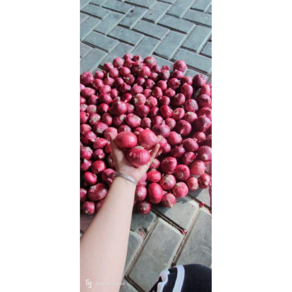 

bawang merah India netto 1kg