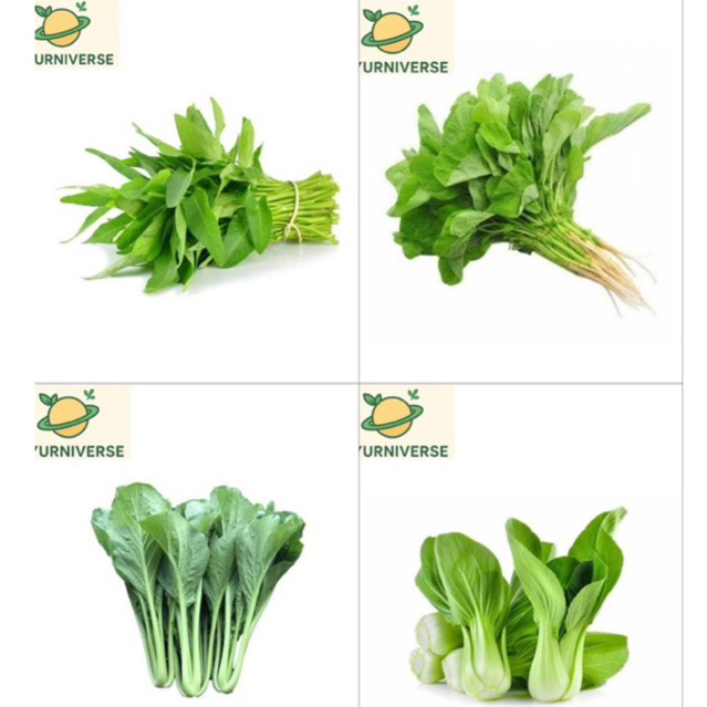 

Sayur Hijau Bayam Kangkung Sawi Pakcoy Fresh