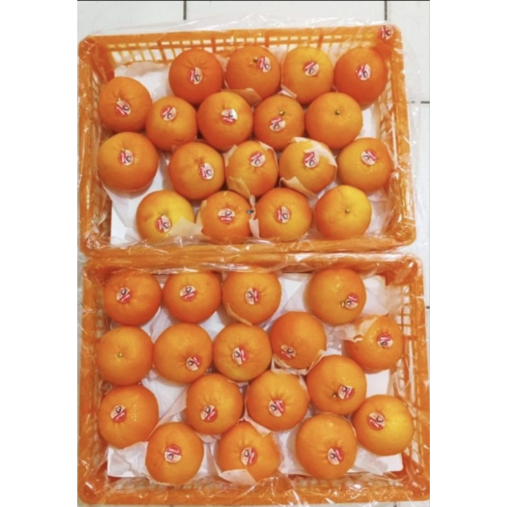 

Jeruk Mandarin Import Wogan / Wokan / Ponkam