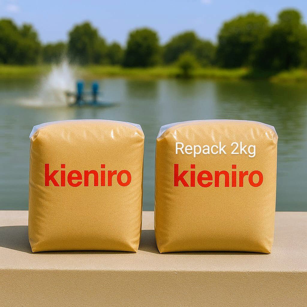 pakan sidat dan belut kieniro || repack 2kg