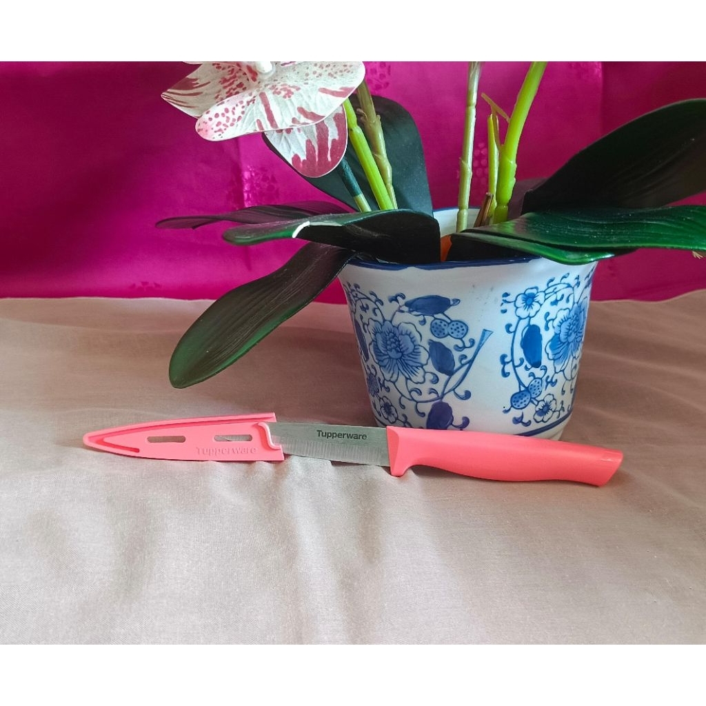 Paring Knife Guava Tupperware