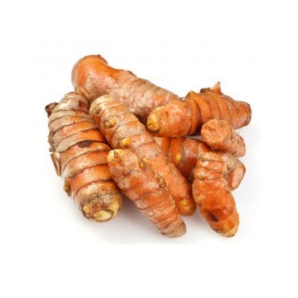 

Kunyit Besar Segar - Bumbu Dapur Alami & Herbal Tradisional (250gr/500gr/1 Kg)
