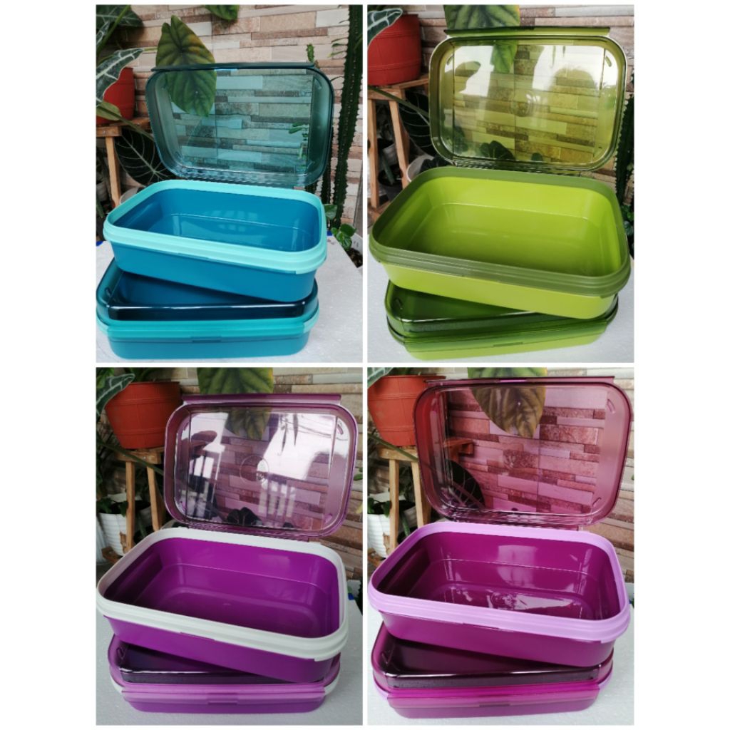 signature rectaguler 2 liter hijau ungu toska / ezy keeper hiaju ungu toska tupperware