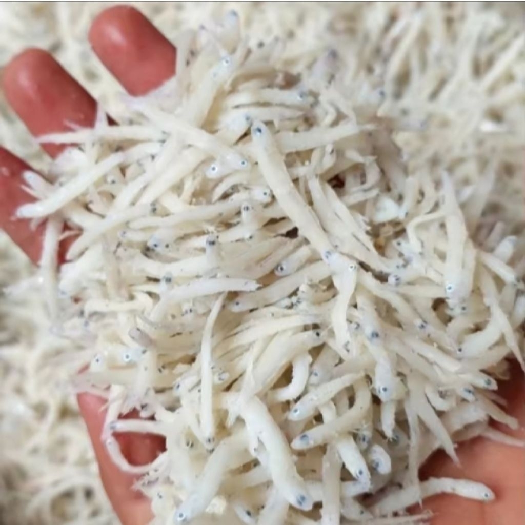 

Teri Medan Asin / Teri Nasi Asin 1kg