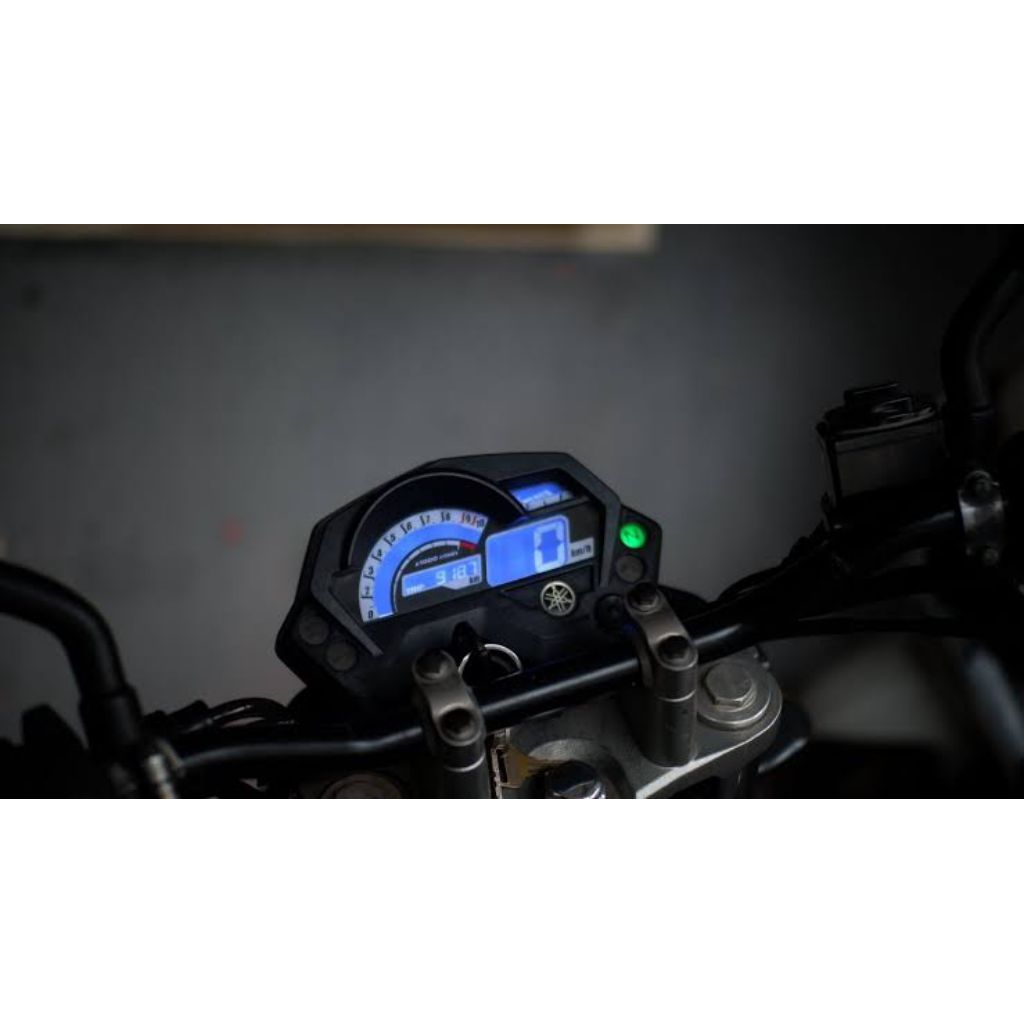 Polaris polarizer lcd sunburn spedometer Yamaha Byson old