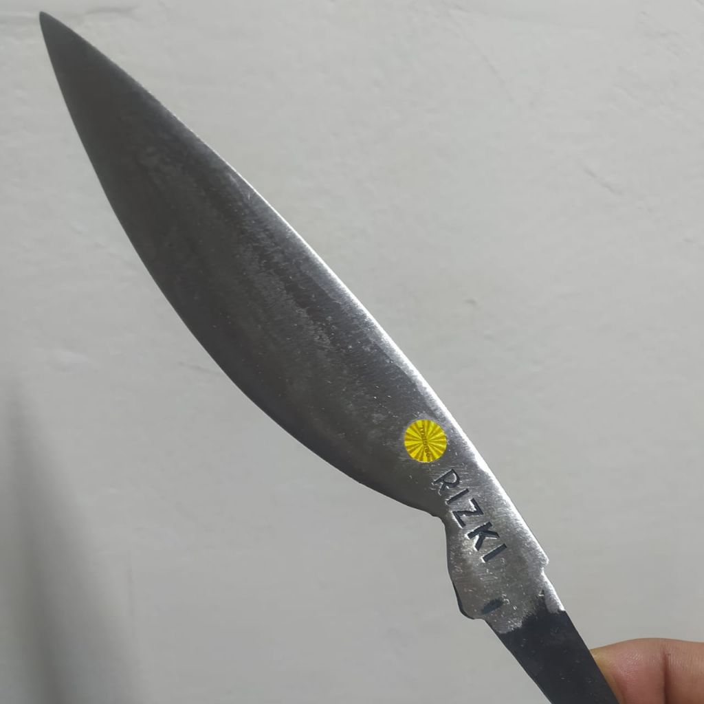 Kuduk Betelok, Kuduk Semende,palembang,Sumatera,PB 20cm