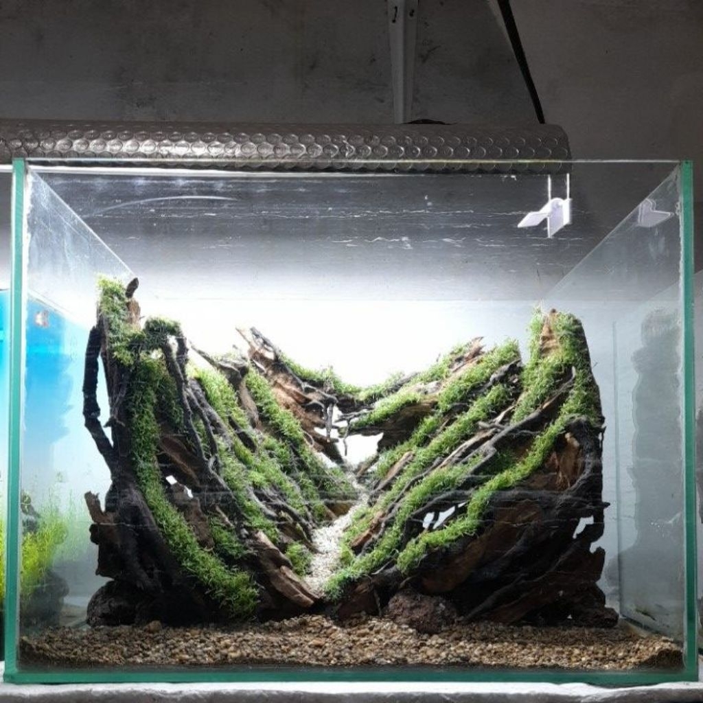 Aquarium+Hardscape diorama Aquascape fullset