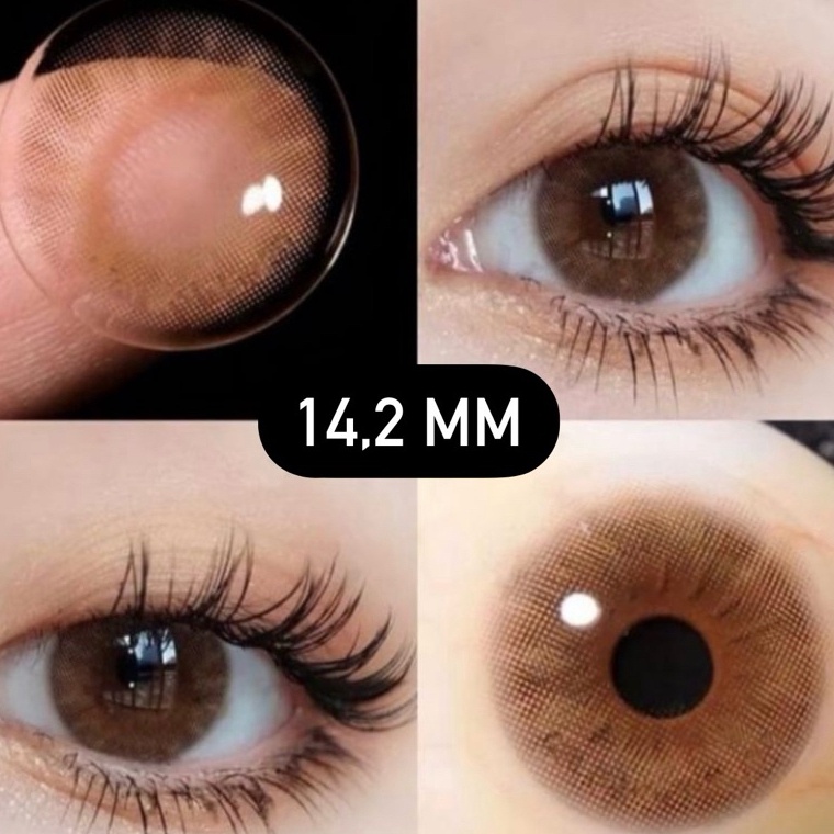 KODE Q47R J65 Softlens Coklat Brown 142 MM Tanpa Ring Natural Daily  Softlens Brown Natural  Softlen