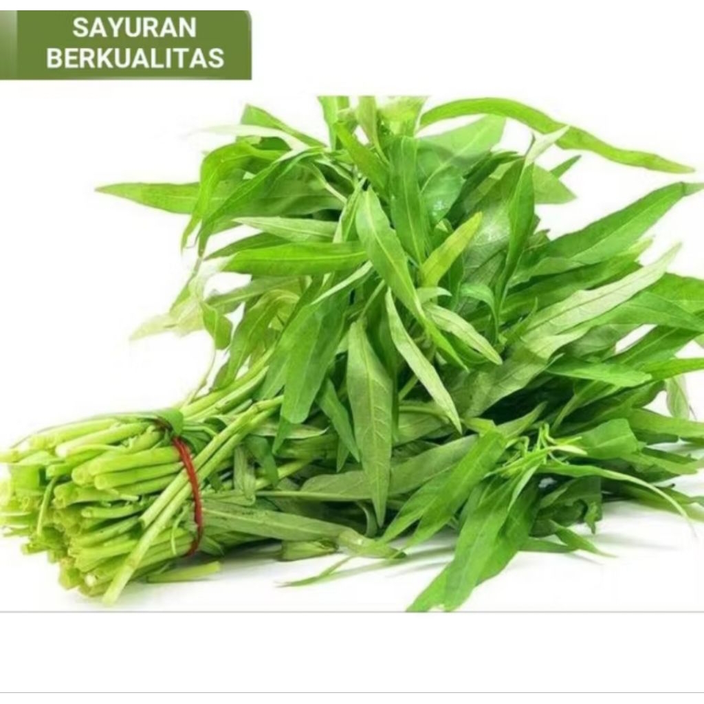 

sayur kakung segar