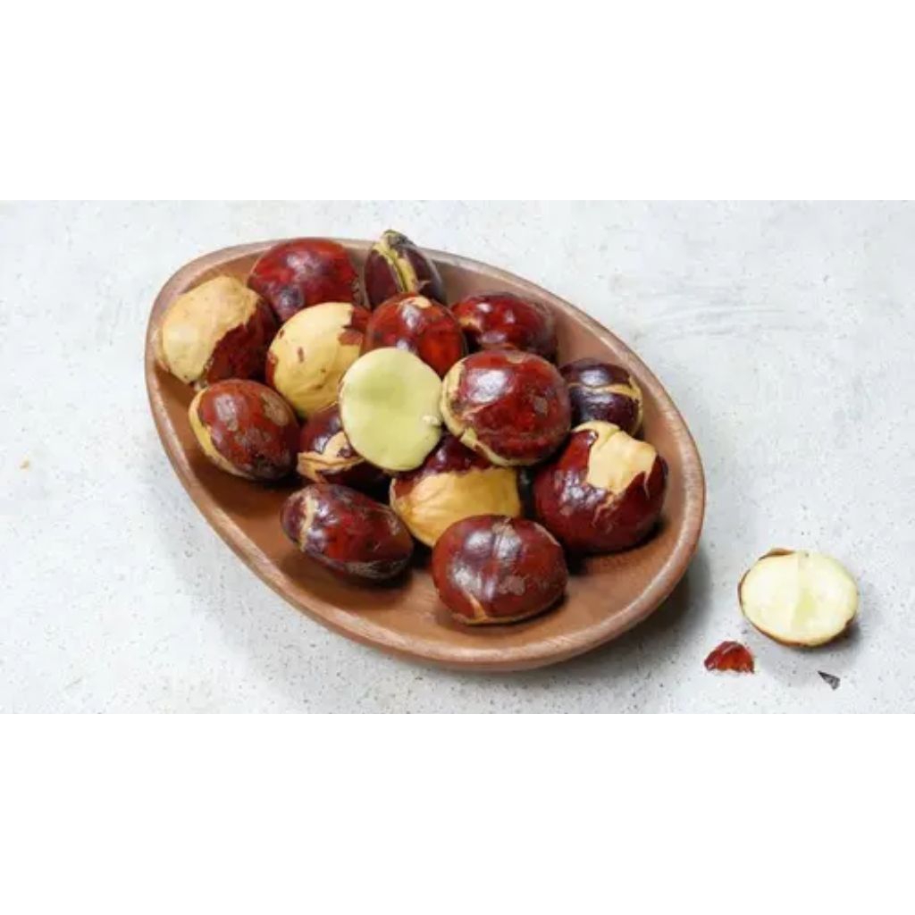 

JENGKOL JEPARA/JENGKOL TUA 500 GRAM KUALITAS SUPER