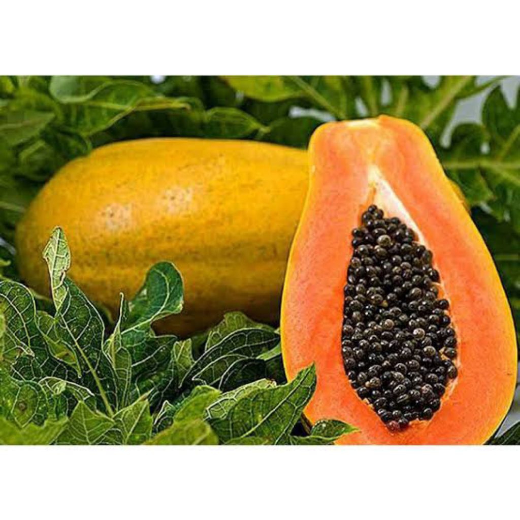 

Pepaya Kampung / Pepaya Lokal per Buah