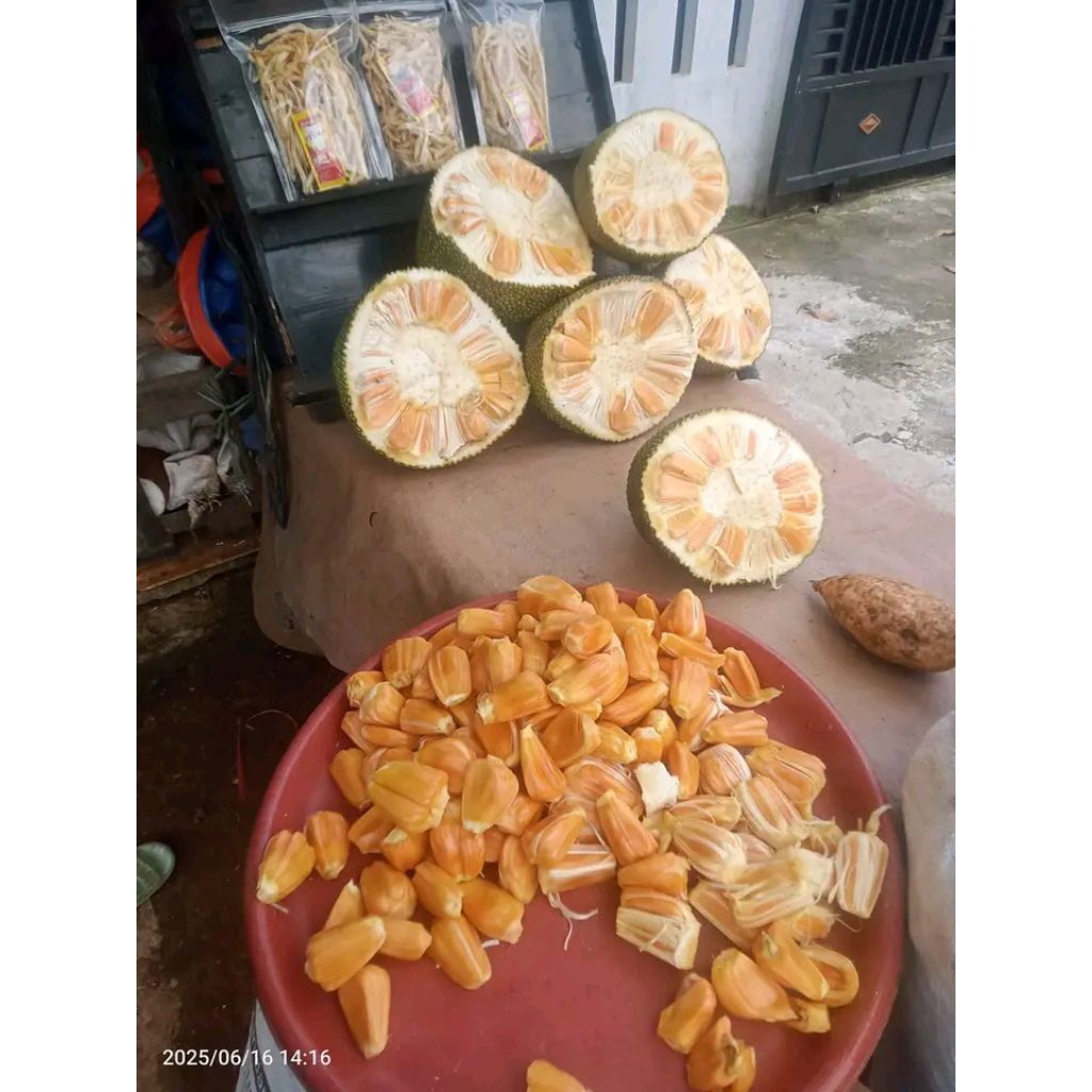 

nangka kupas madu
